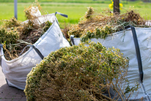 Best Affordable Junk Removal Services  in Waldron, AR